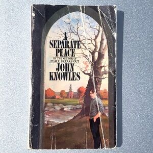 A Separate Peace John Knowles 1975 Bantam Vintage Paperback - Reading Copy